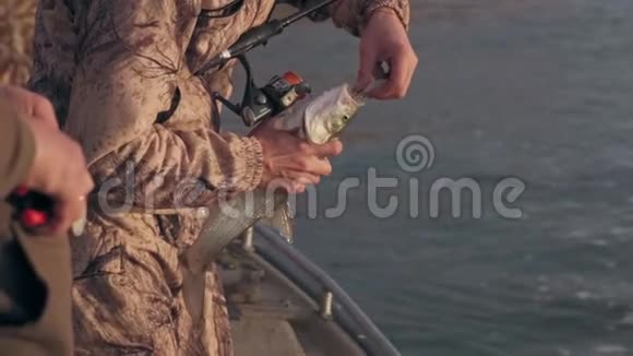 渔夫把鱼饵从一只捕食的嘴里拉出来视频的预览图