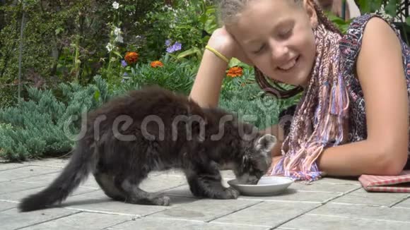 女孩和小猫视频的预览图