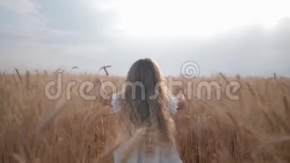 小女孩在收获季节的蓝天背景下在成熟的麦田里奔跑视频的预览图