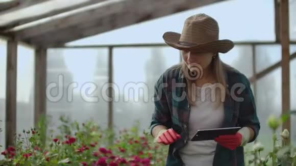 戴着帽子的女园丁在找花现代花商使用平板电脑分析花卉的产量视频的预览图