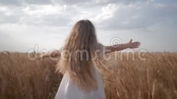 一个长着美丽长发的小女孩在秋天的作物季节里她带着金色的小穗穿过麦田视频的预览图