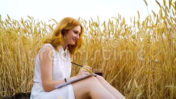 在麦田野餐的漂亮红头发女孩视频的预览图
