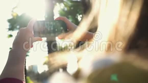 女孩用特写镜头在阳光下拍摄棕榈树智能手机的照片视频的预览图