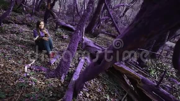 紫罗兰童话森林穿着淡紫色夹克的漂亮女孩坐在一片美丽的淡紫色森林里看着她的花朵视频的预览图