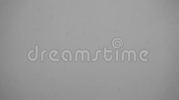 灰色背景下黄昏降雪的景象视频的预览图