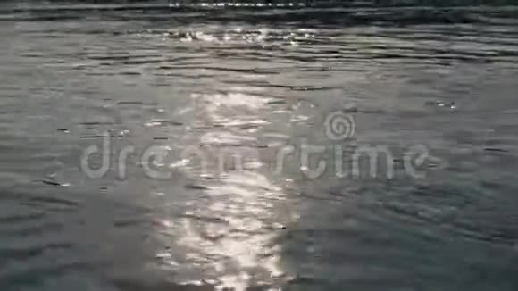 从河面的阳光照射出来的美丽光芒视频的预览图