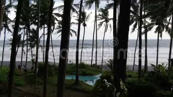 印度尼西亚巴厘岛海边的棕榈树视频的预览图