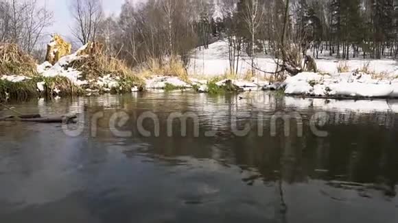 河流初雪蓝天白桦松的背景视频的预览图