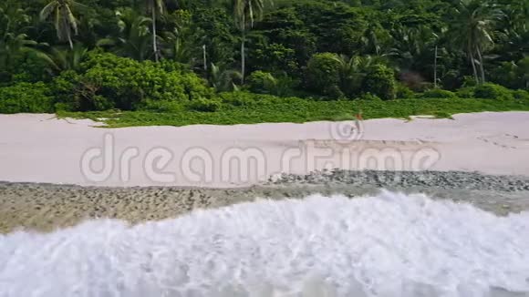 年轻女子奔跑在沙滩天堂安斯巴扎卡海滩有棕榈树和树叶的背景空中4k侧视频的预览图
