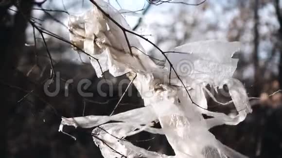 一块塑料挂在树上它在风中飘扬视频的预览图