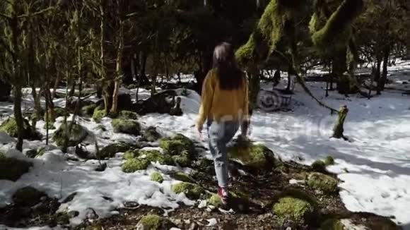 穿着黄色夹克的女孩带着一束含羞草走过春天森林里的雪视频的预览图