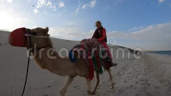 有骆驼的女人视频的预览图