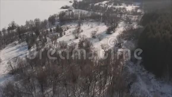 在冬天看到一片覆盖着雪的冰冻森林芬兰冬季森林上空飞行俯视图视频的预览图