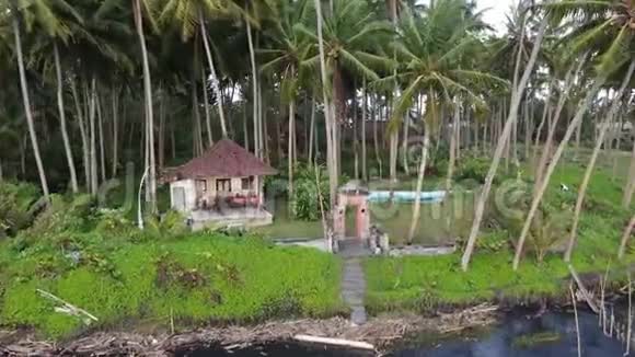在印度尼西亚巴厘岛海边的棕榈林中的平房视频的预览图