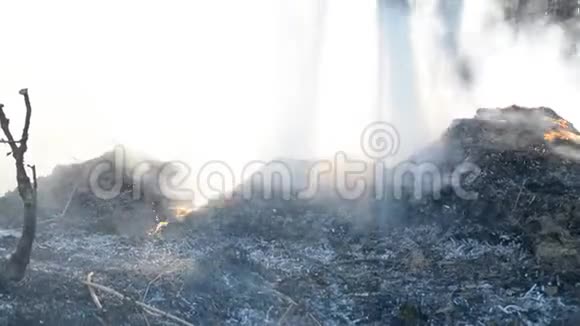 森林垃圾火灾视频的预览图