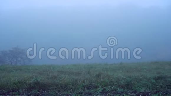 雾中在草地上奔跑的人视频的预览图