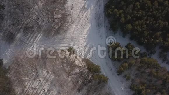 在冬天看到一片覆盖着雪的冰冻森林芬兰冬季森林上空飞行俯视图视频的预览图