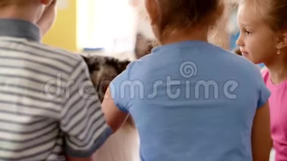 儿童与治疗犬玩乐后景视频的预览图
