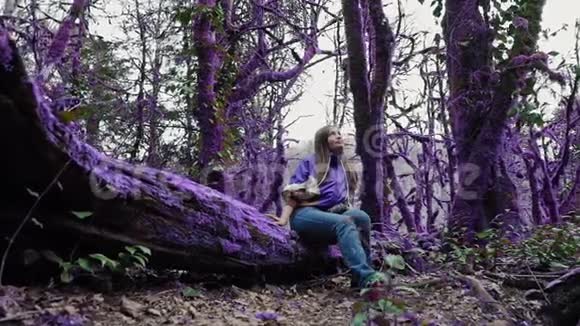 紫罗兰童话森林穿着休闲装的快乐女孩坐在长满青苔的紫色树上抬头看着一棵视频的预览图