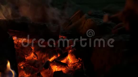 棉花糖和篝火视频的预览图