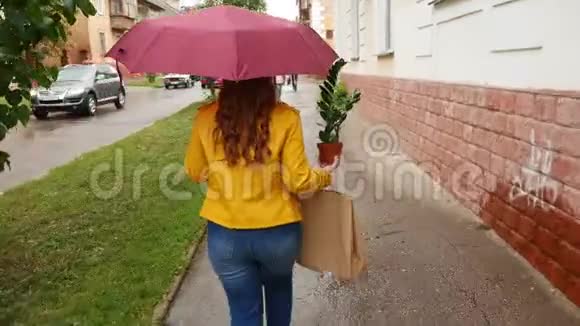 一个带着雨伞的女孩带着一棵植物在城市里走来走去视频的预览图