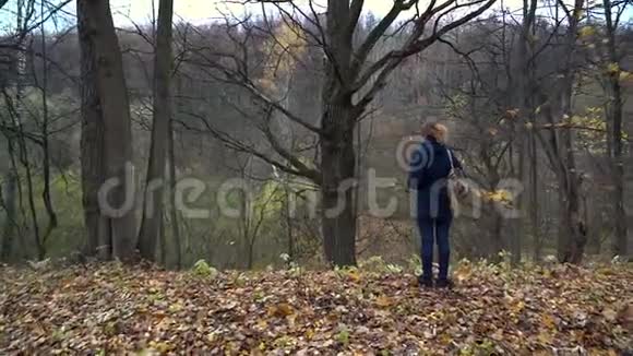一个身材苗条的女人穿着一件蓝色夹克肩上背着一个背包站在秋天森林里的一个峡谷的边缘视频的预览图