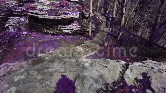 紫罗兰童话森林女孩走在神奇的紫色森林看到一个美丽的山切割和拍照视频的预览图