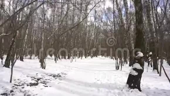 冬林白桦树天蓝色视频的预览图