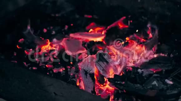 在慢速特写镜头中烤架上烫出漂亮的木炭视频的预览图