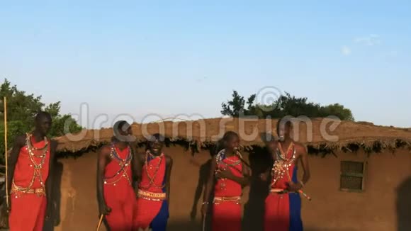 五个马赛勇士在一个村庄跳舞的特写镜头视频的预览图