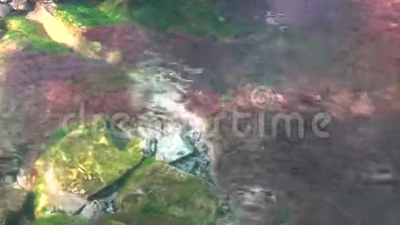 阳光明媚的哈兹山水面下有藻类的苔藓岩视频的预览图