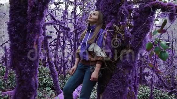 紫罗兰童话森林女孩正靠在神秘的紫色森林中一棵长满苔藓的树上放大了幻想视频的预览图