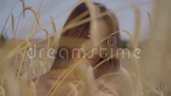麦田特写镜头上摆着一个长发的迷人女人的肖像前景中黄色的耳朵视频的预览图