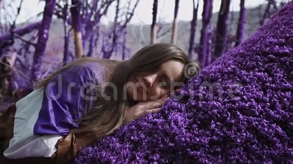 紫罗兰童话森林穿着紫丁香夹克的漂亮女孩正睡在一朵柔软的紫色苔藓上视频的预览图