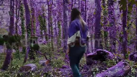 紫罗兰童话森林走在迷人的紫色森林里女孩找到了树桩走到树桩前坐下来寻找视频的预览图