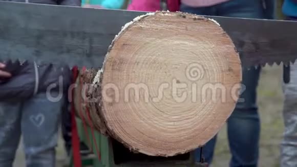 两手锯在森林里砍树干视频的预览图