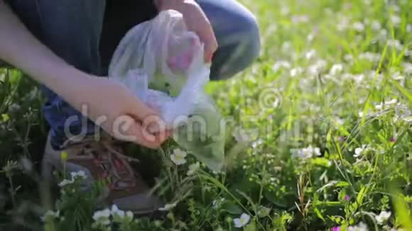 一个女人收集野生草莓和草药替代草药收集药材视频的预览图