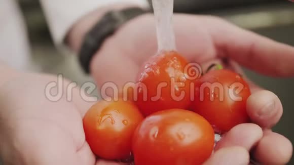 特写厨师洗新鲜西红柿视频的预览图