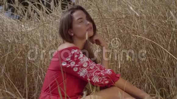 漂亮的女人嘴里夹着一根稻草坐在麦田上的小穗中间看着摄像机连接视频的预览图