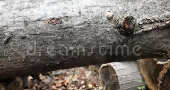 摄像机起重机在两堆堆放的原木之间拍摄视频的预览图
