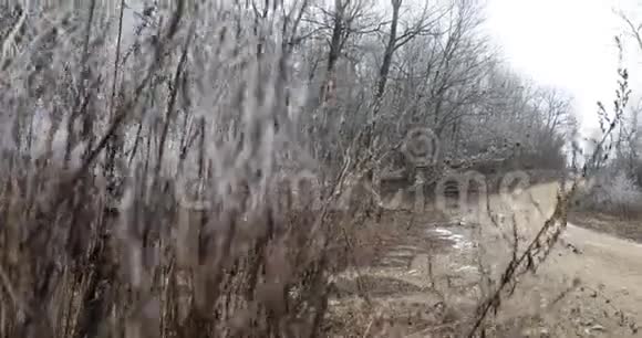 冻死的森林和肮脏的道路上的鹤视频的预览图