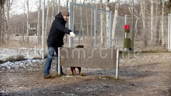 一个男人在训练场上训练德国牧羊犬一只狗在棍子后面跳过栅栏视频的预览图