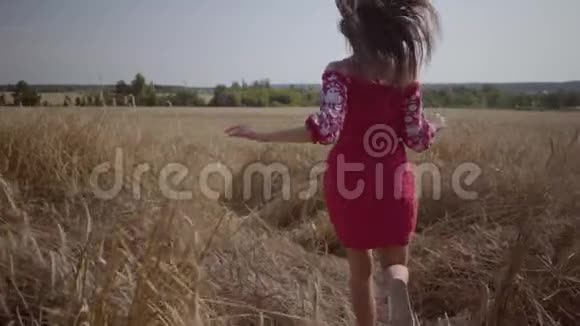 可爱的小女孩在田野里缓慢地奔跑在麦田里享受阳光的无忧无虑的女人视频的预览图
