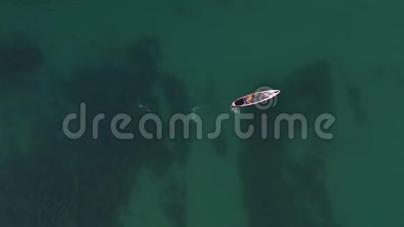 空中无人机顶景图男子冲浪在完美的海面上划艇冲浪视频的预览图