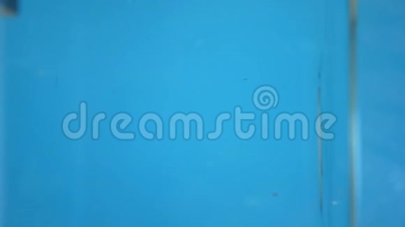 垂直的切碎的胡萝卜掉进水里蓝色背景视频的预览图