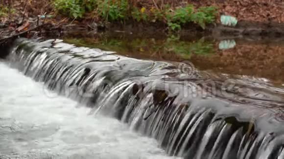 秋季公园的水门槛视频的预览图