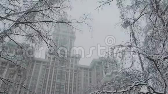 冬天的树在雪地上靠近一栋多层建筑视频的预览图