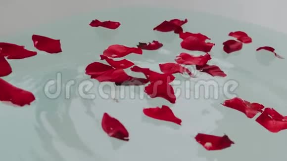 情人节水上红玫瑰花瓣女人的浪漫视频的预览图
