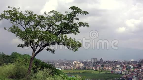 树俯瞰加德满都尼泊尔视频的预览图