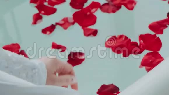 情人节水上红玫瑰花瓣女人的浪漫视频的预览图